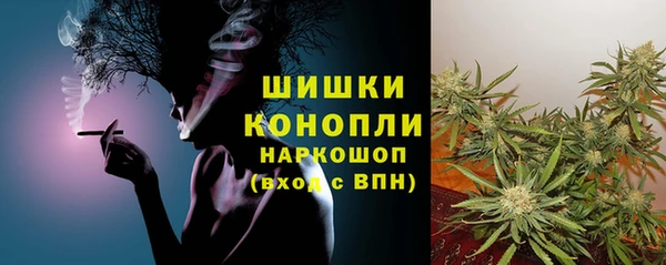 apvp Краснослободск